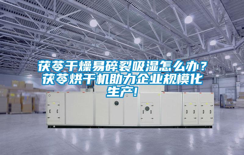 茯苓干燥易碎裂吸濕怎么辦？茯苓烘干機(jī)助力企業(yè)規(guī)?；a(chǎn)!