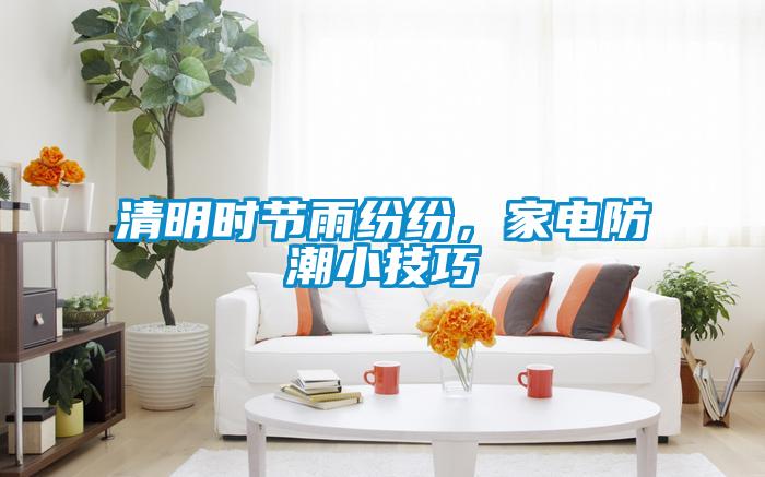 清明時節雨紛紛，家電防潮小技巧