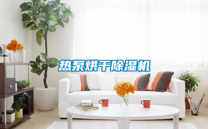 熱泵烘干除濕機