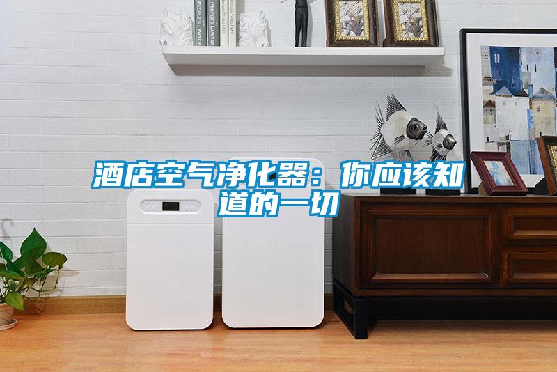 酒店空氣凈化器：你應該知道的一切