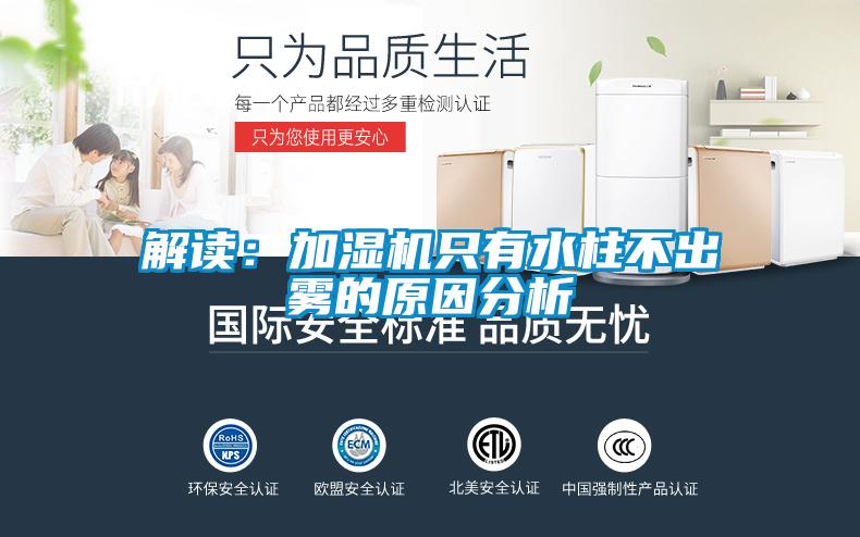 解讀：加濕機只有水柱不出霧的原因分析