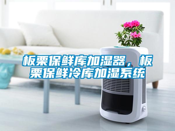 板栗保鮮庫加濕器，板栗保鮮冷庫加濕系統