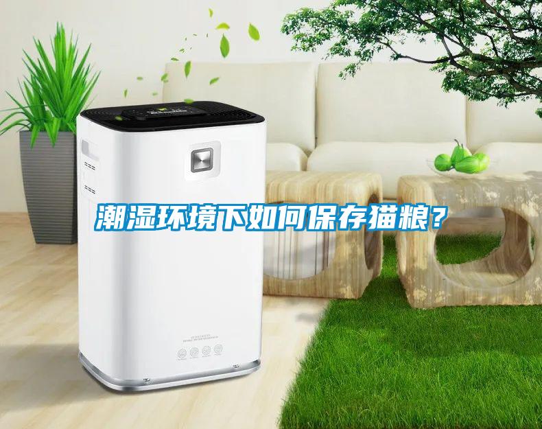 潮濕環境下如何保存貓糧？