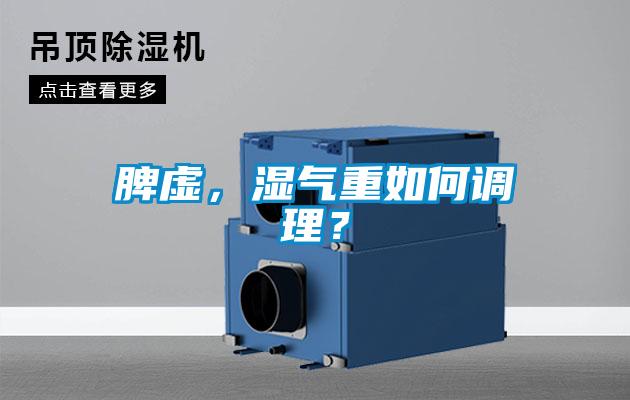 脾虛，濕氣重如何調理？