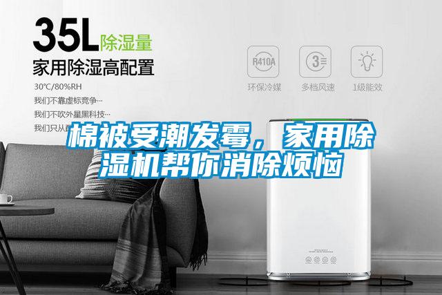 棉被受潮發霉，家用除濕機幫你消除煩惱