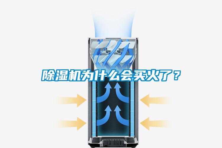 除濕機為什么會買火了？