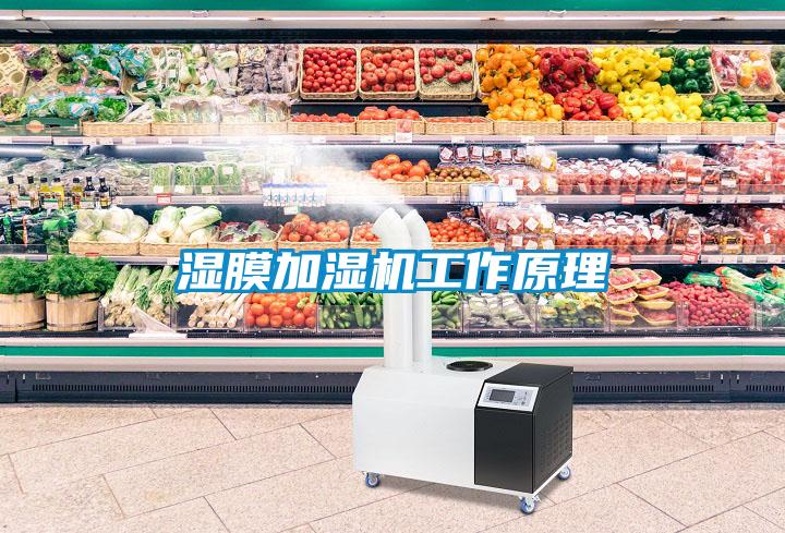 濕膜加濕機工作原理