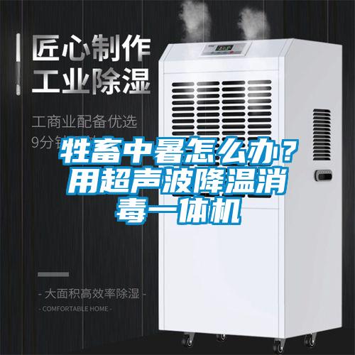 牲畜中暑怎么辦？用超聲波降溫消毒一體機