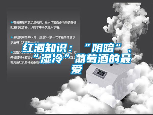 紅酒知識：“陰暗”、“濕冷”葡萄酒的最愛
