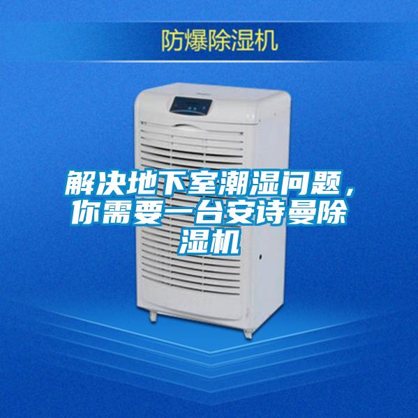 解決地下室潮濕問題，你需要一臺安詩曼除濕機