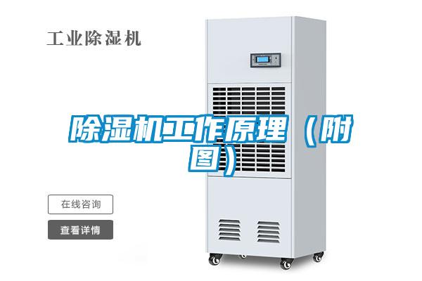 除濕機工作原理（附圖）