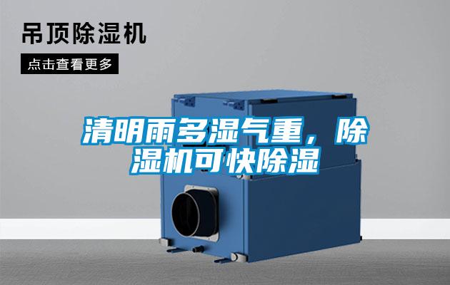 清明雨多濕氣重，除濕機(jī)可快除濕