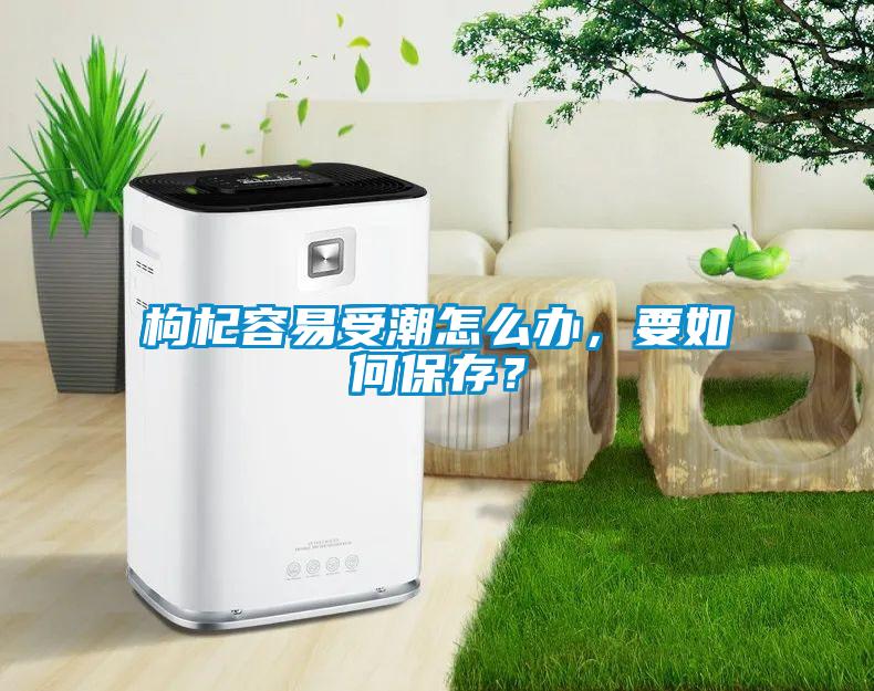 枸杞容易受潮怎么辦，要如何保存？