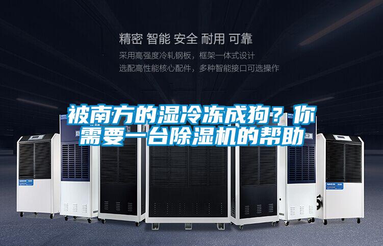 被南方的濕冷凍成狗？你需要一臺(tái)除濕機(jī)的幫助