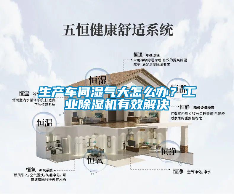 生產車間濕氣大怎么辦？工業除濕機有效解決