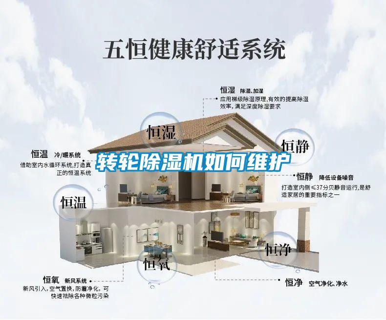轉輪除濕機如何維護