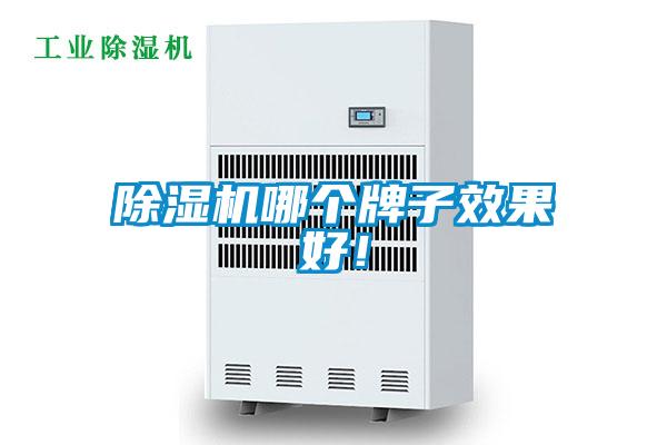 除濕機哪個牌子效果好！