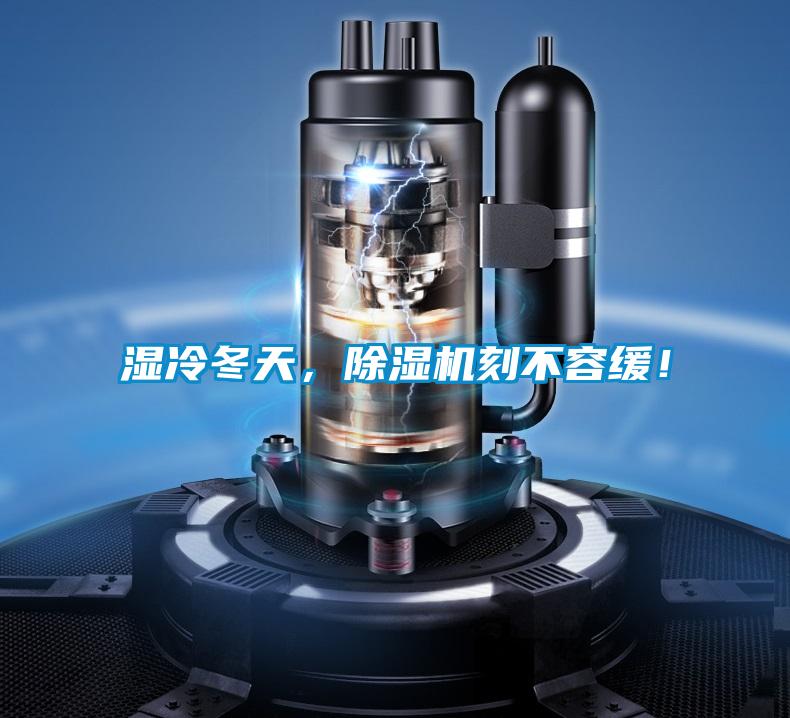 濕冷冬天，除濕機刻不容緩！