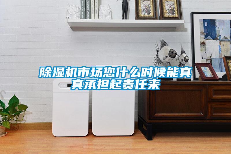 除濕機(jī)市場您什么時候能真真承擔(dān)起責(zé)任來