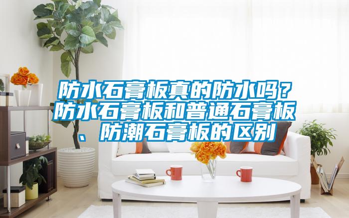 防水石膏板真的防水嗎？防水石膏板和普通石膏板、防潮石膏板的區(qū)別
