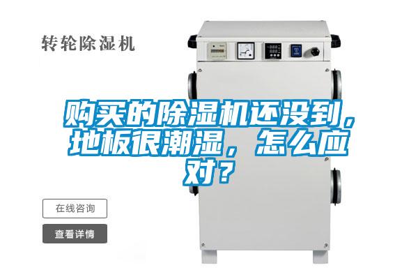 購買的除濕機還沒到，地板很潮濕，怎么應對？