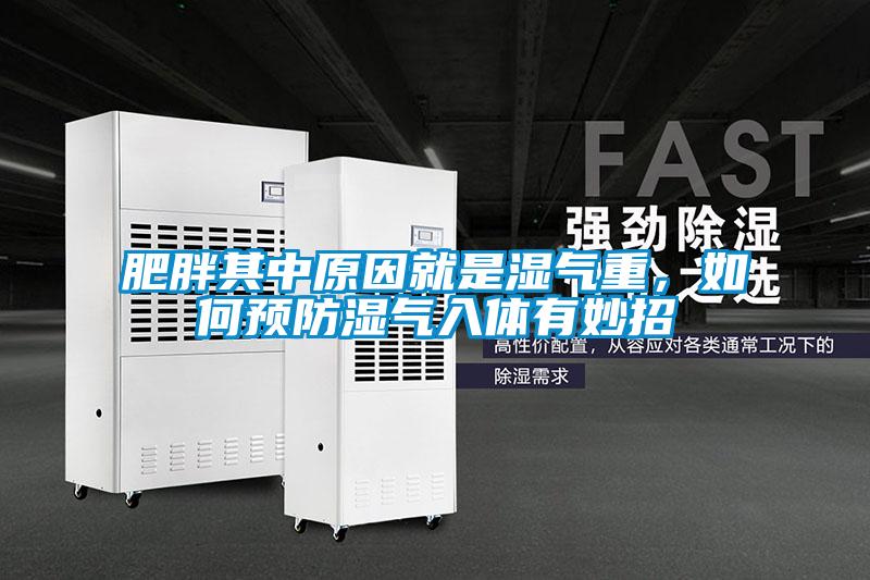 肥胖其中原因就是濕氣重，如何預防濕氣入體有妙招