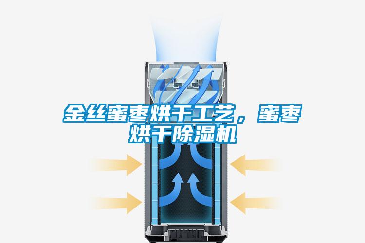 金絲蜜棗烘干工藝，蜜棗烘干除濕機