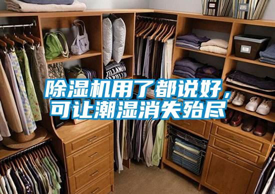 除濕機用了都說好，可讓潮濕消失殆盡