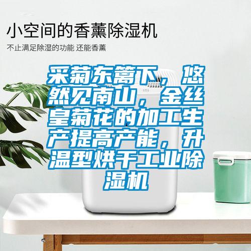 采菊東籬下，悠然見南山，金絲皇菊花的加工生產提高產能，升溫型烘干工業除濕機