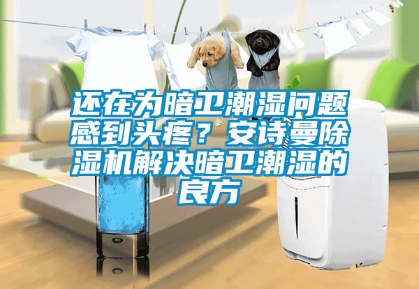 還在為暗衛潮濕問題感到頭疼？安詩曼除濕機解決暗衛潮濕的良方
