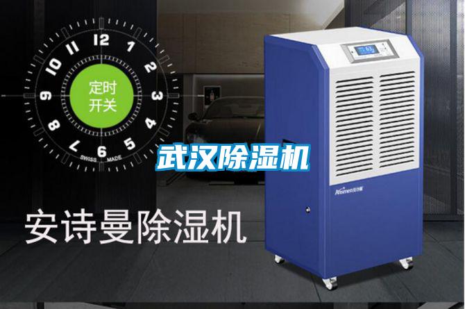 武漢除濕機