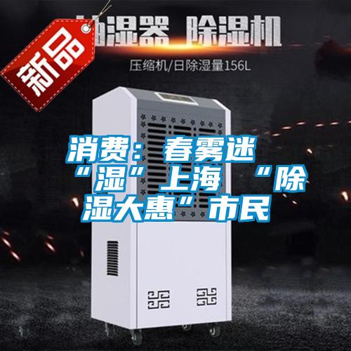 消費：春霧迷“濕”上海 “除濕大惠”市民
