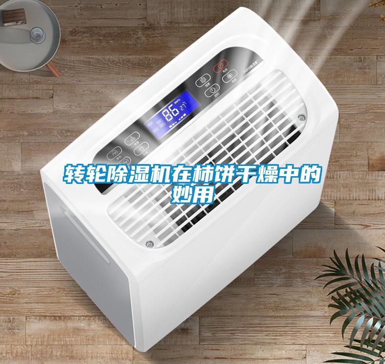 轉(zhuǎn)輪除濕機在柿餅干燥中的妙用