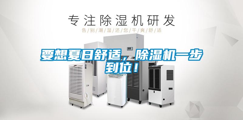 要想夏日舒適，除濕機(jī)一步到位！