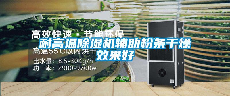 耐高溫除濕機輔助粉條干燥效果好