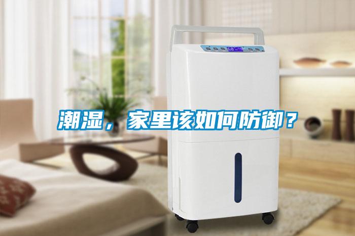 潮濕，家里該如何防御？