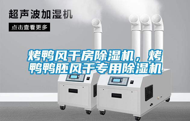 烤鴨風干房除濕機，烤鴨鴨胚風干專用除濕機