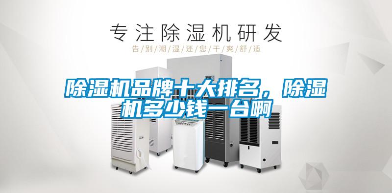 除濕機(jī)品牌十大排名，除濕機(jī)多少錢一臺(tái)啊