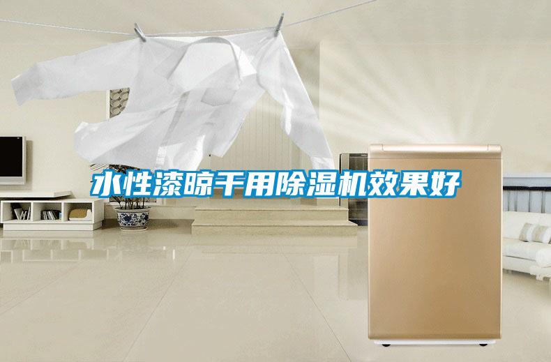 水性漆晾干用除濕機效果好
