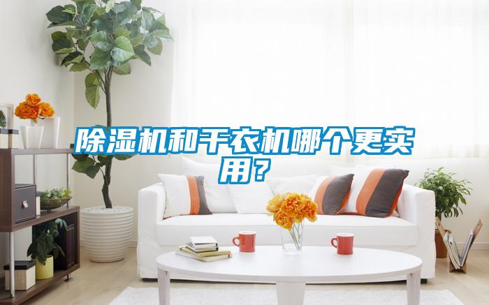 除濕機和干衣機哪個更實用？