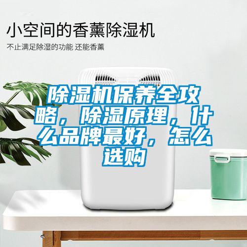除濕機(jī)保養(yǎng)全攻略，除濕原理，什么品牌最好，怎么選購(gòu)