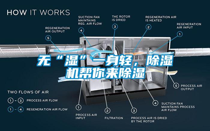 無“濕”一身輕，除濕機幫你來除濕