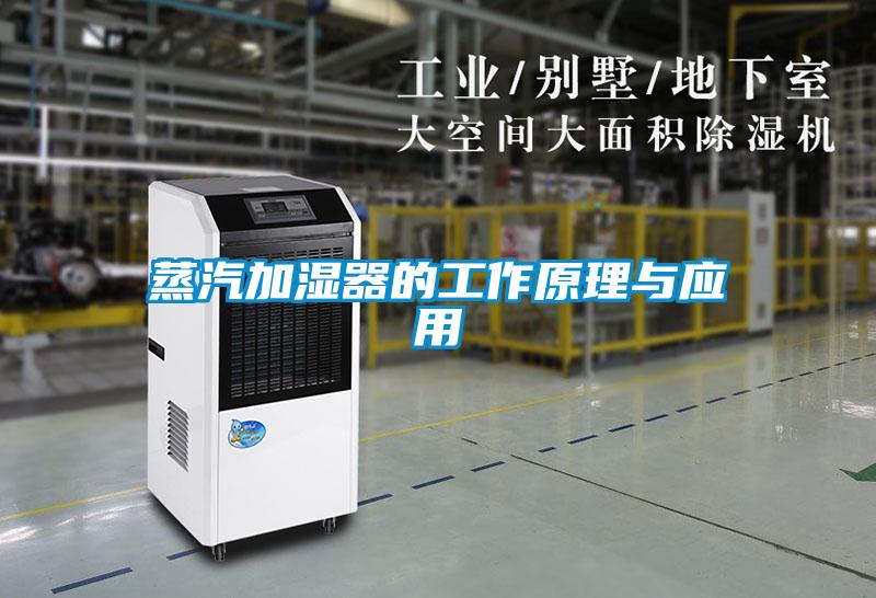 蒸汽加濕器的工作原理與應用