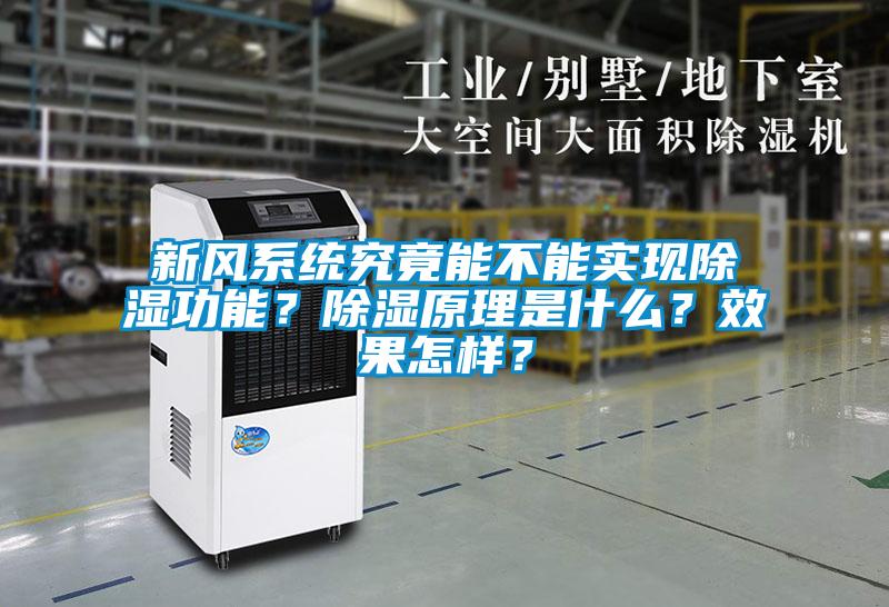 新風系統究竟能不能實現除濕功能？除濕原理是什么？效果怎樣？