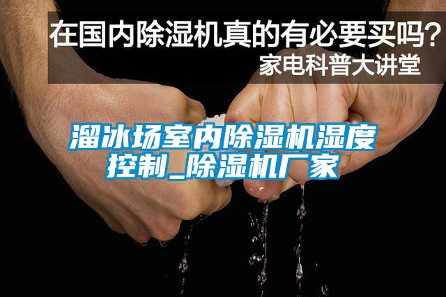 溜冰場室內除濕機濕度控制_除濕機廠家