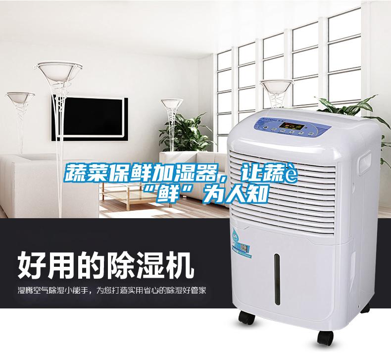 蔬菜保鮮加濕器，讓蔬菜“鮮”為人知