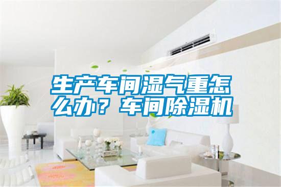 生產(chǎn)車間濕氣重怎么辦？車間除濕機(jī)