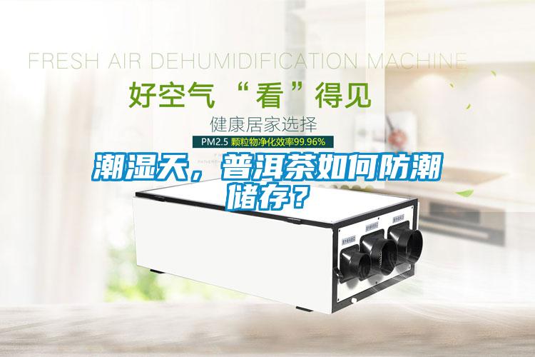 潮濕天，普洱茶如何防潮儲(chǔ)存？