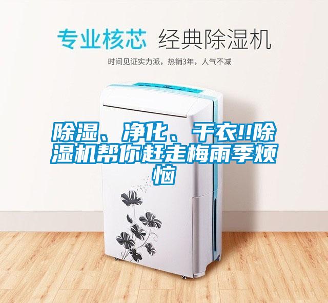 除濕、凈化、干衣!!除濕機幫你趕走梅雨季煩惱