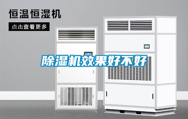 除濕機效果好不好